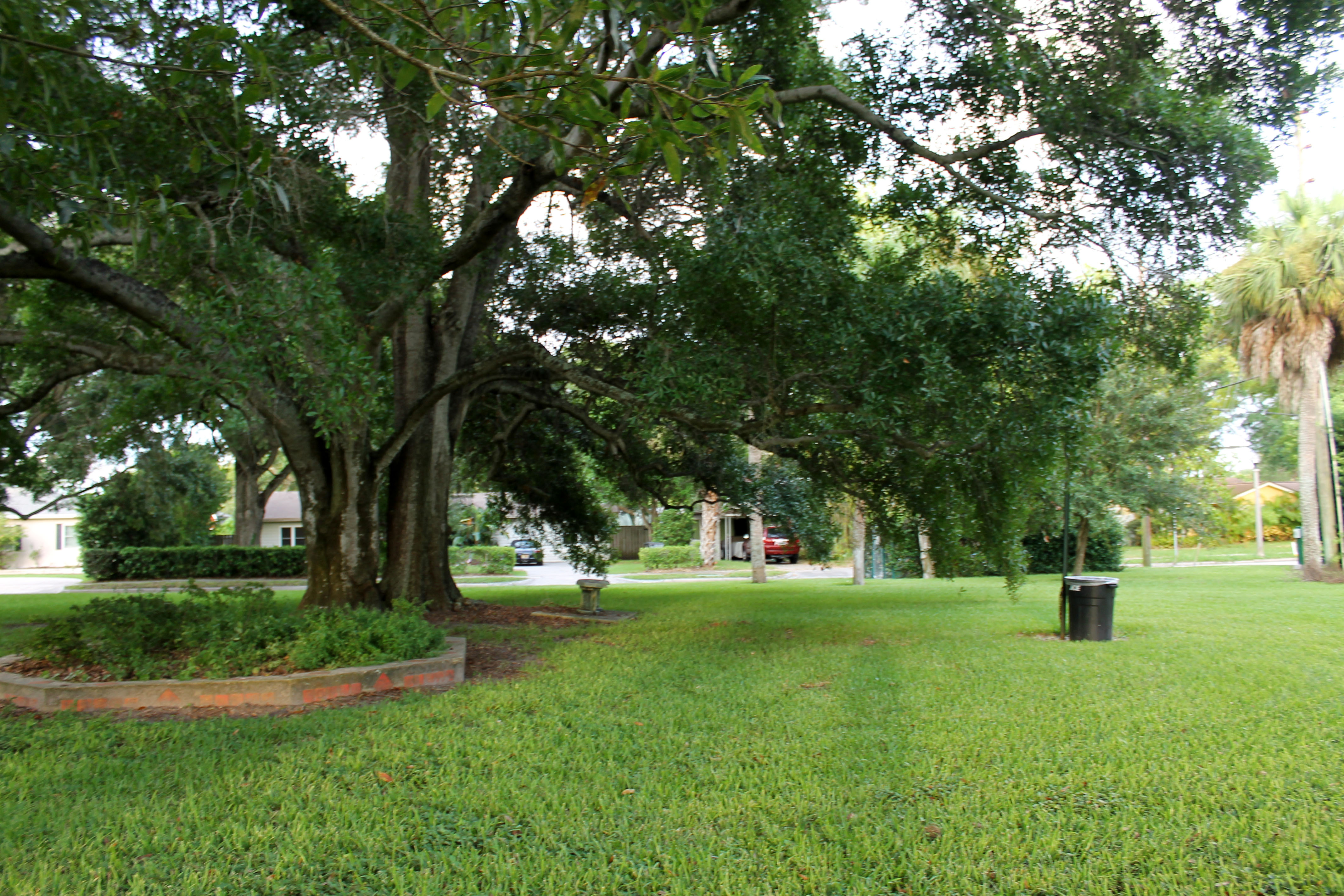 Freshly-cut grassy area in Rex Beach Park with a large oak, flower planter, and trash can