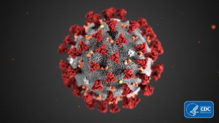 A microscopic photo of coronavirus taken from the CDC's website
