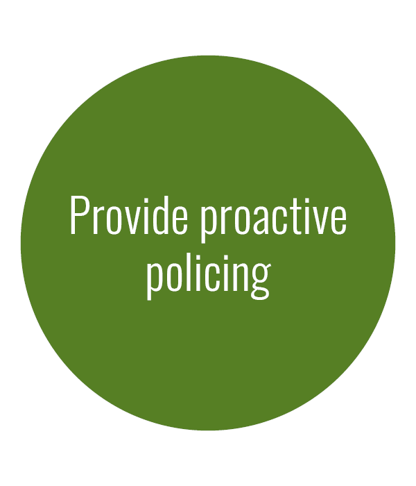 Provide proactive policing