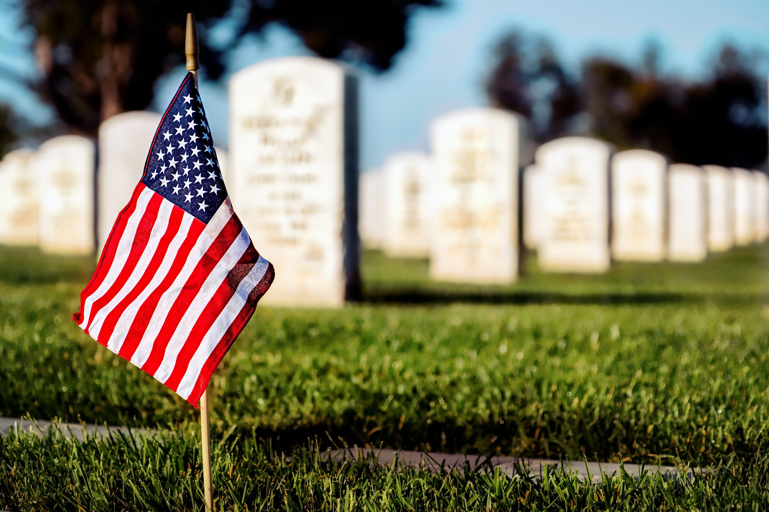 An American flag in a military cemetery