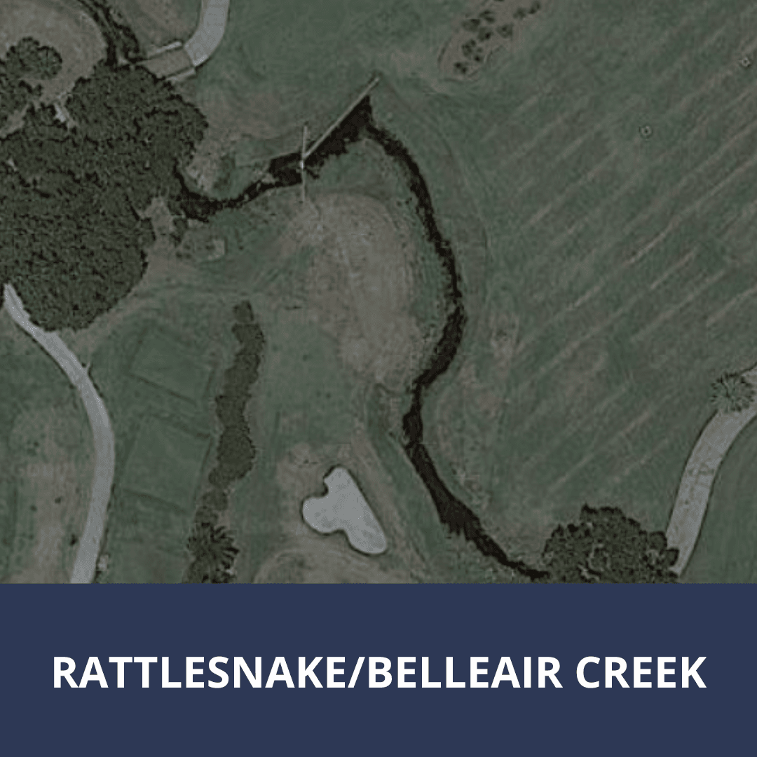 Click here for more information about the Rattlesnake/Belleair Creek project
