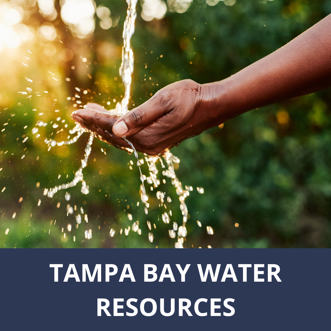 Click here for water conservation resources from Tampa Bay Water