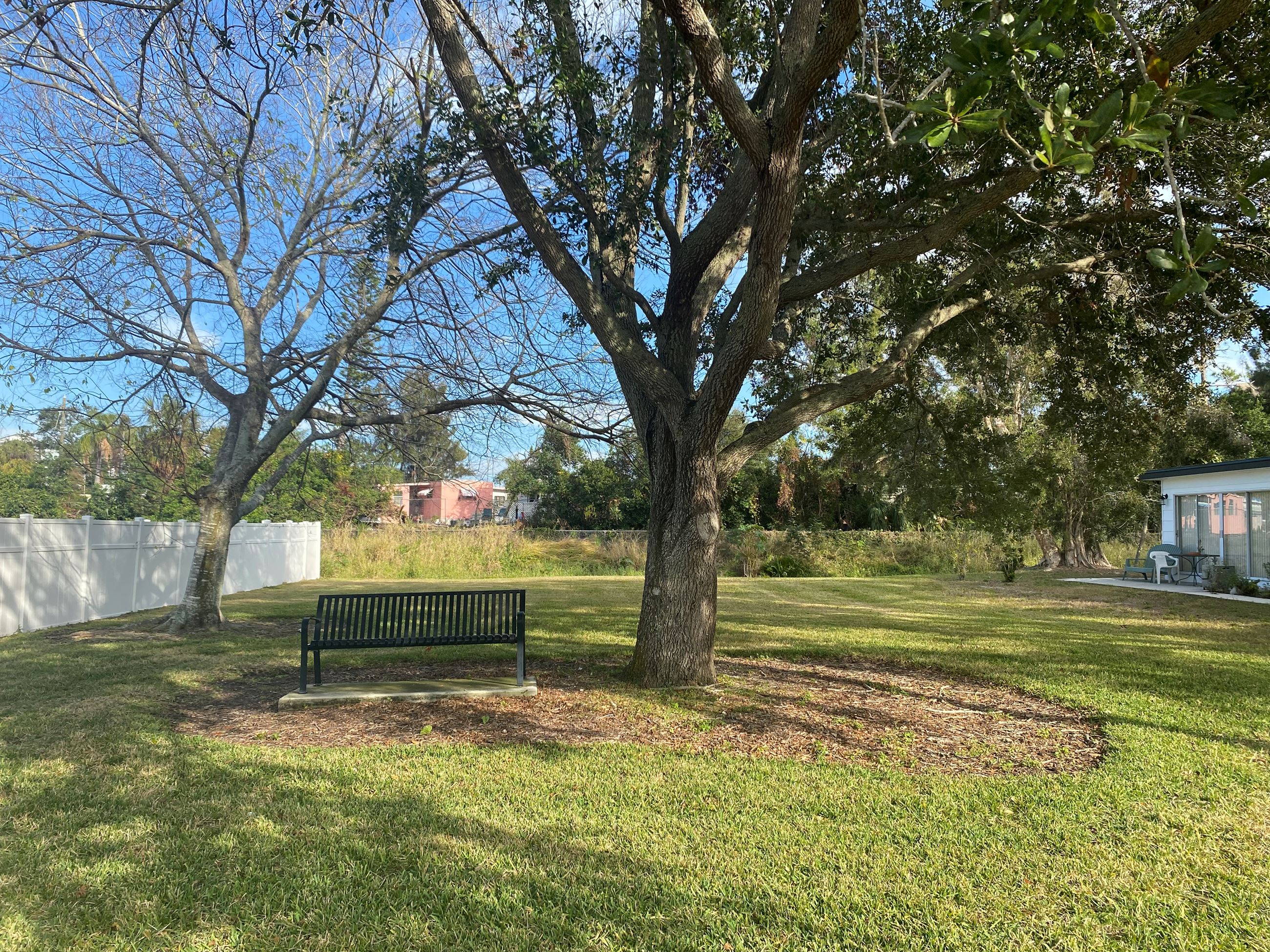 A bench sits beneath two large, shady trees in Barbara Circle Park. 