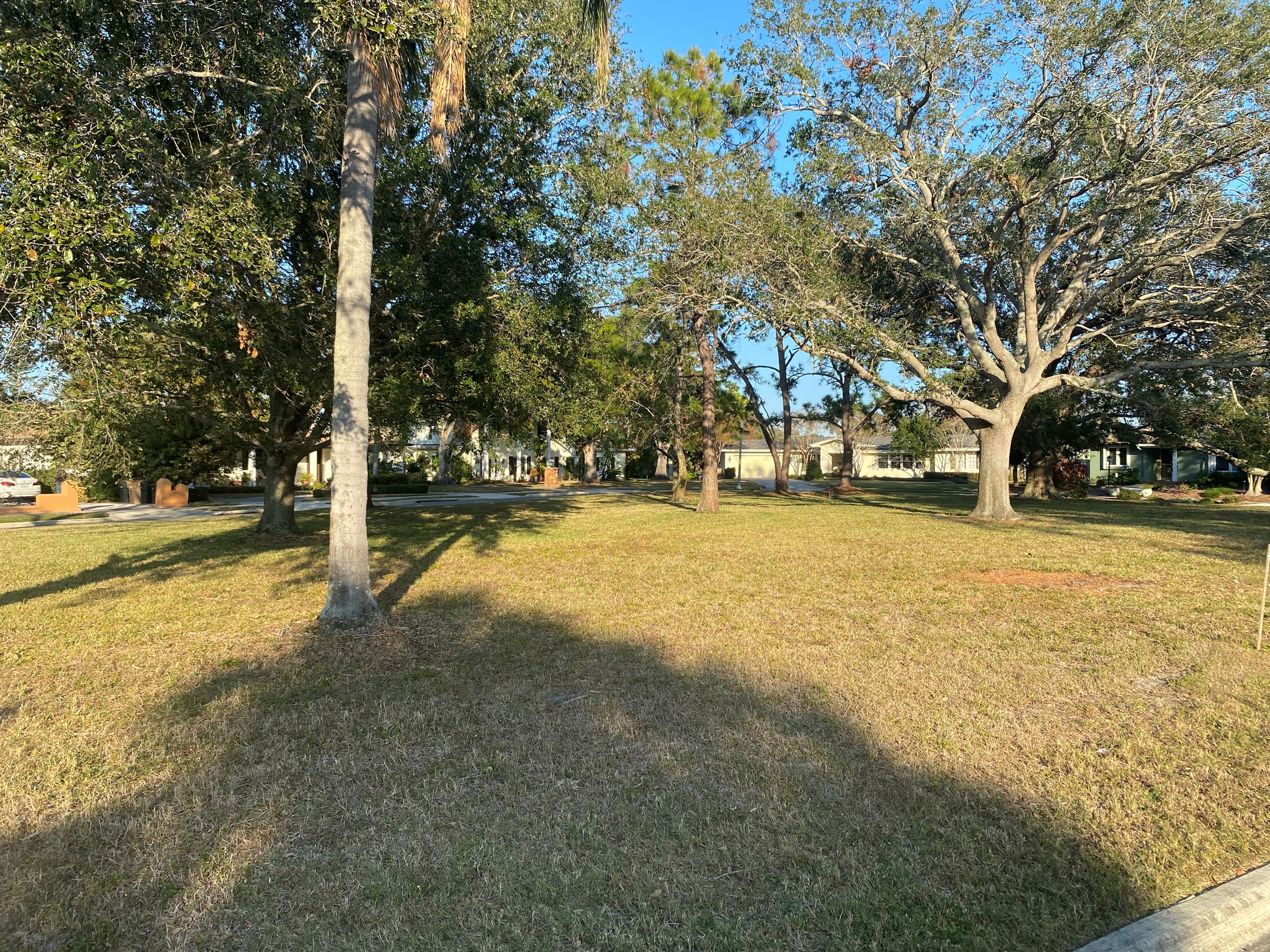 A group of trees provides shade in a grassy area in DeSoto Park