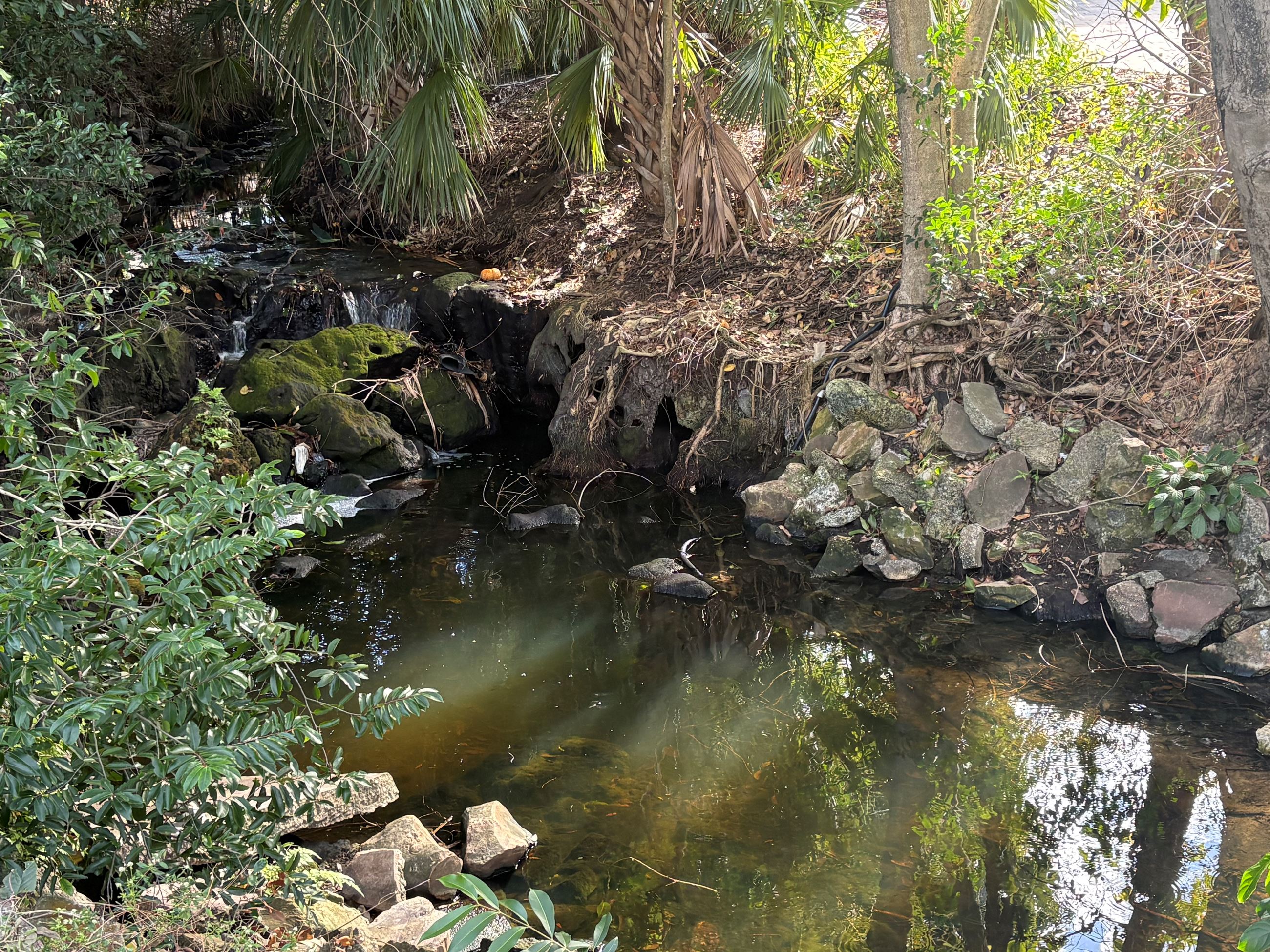A small waterfall glistens as it runs over rocks and green brush.